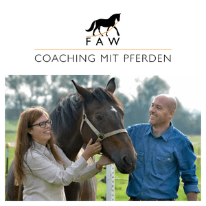 Coaching mit Pferden - Die Broschre herunterladen