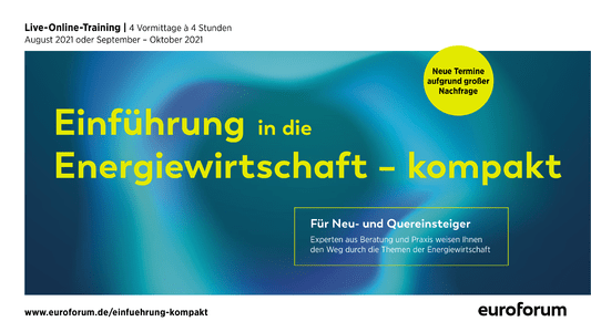 Einfhrung in die Energiewirtschaft - kompakt herunterladen