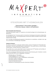 Steuerung mit IT-Kennzahlen herunterladen