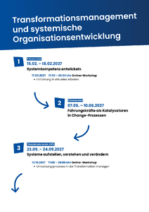 Verlaufs�bersicht Transformationsmanagement und systemische Organisationsentwicklung herunterladen