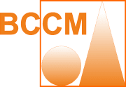 BCCM Broer Cross-Cultural Management
