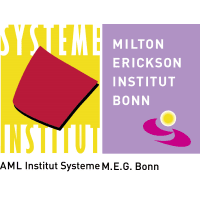AML Institute: AML Systeme DGSF & Milton Erickson Institut Bonn M.E.G AML Institute: AML Systeme DGSF & Milton Erickson Institut Bonn M.E.G