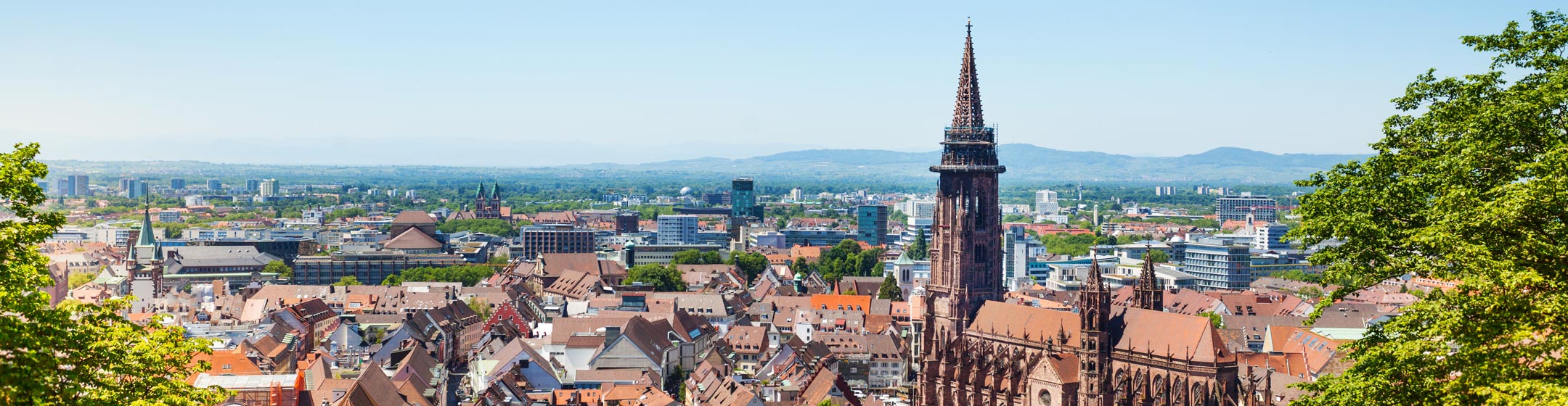 Seminarmarkt.de fragt Experten in der Weiterbildungsbranche