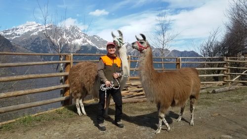 Bei einer Lama-Trekkingtour durch Südtirols Berge kann man hervorragend zu sich selbst finden. Beratung und Coaching mit tierischer Unterstützung. Sprechen Sie mich an!