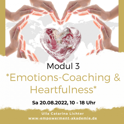 6 Stunden Online-Live-Training & Empowerment-Tools zum Thema Emotions-Coaching